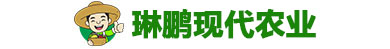琳鹏现代农业